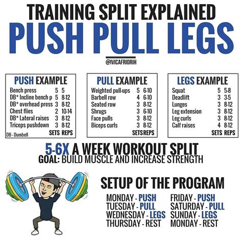 Examples Of Push Pull Workouts Push Pull Workouts: Routines And Guide