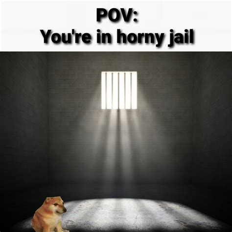 Go to horny jail, BONK : r/memes