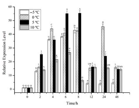 Molecular Cloning and Expression Analysis of the Cryptochrome Gene ...