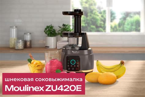 Обзор соковыжималки Moulinex ZU420E — Techno Expert