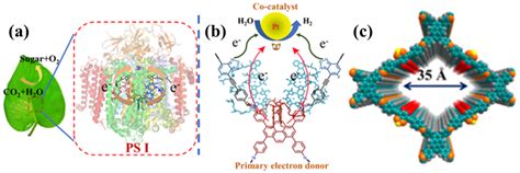 Linkage-Affected Donor–Acceptor Covalent Organic Frameworks for ...