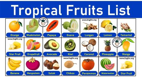 16 Fruits That Start With V (Properties and Pictures) - EngDic
