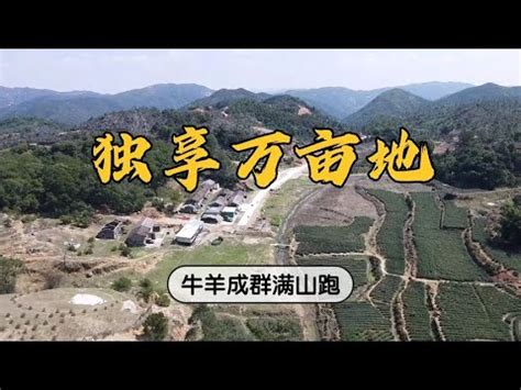 磨崖仏・巨石巡り(東光寺不動山・田中山・旗振山) / 森空民さんの三上山・鏡山の活動データ | YAMAP / ヤマップ