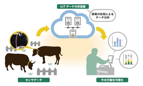 牛の行動分析 U-motion®｜ NTTテクノクロス株式会社