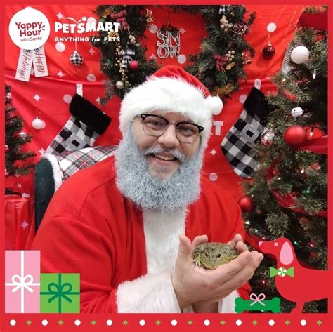 Petsmart Bullhead City Az