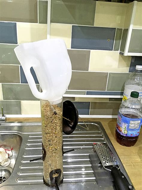 Image result for How to Reuse Milk Containers