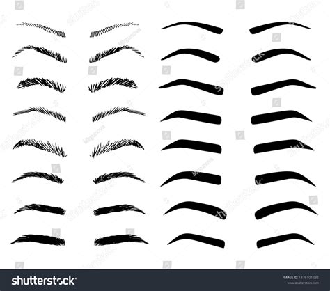 Types Of Eyebrows