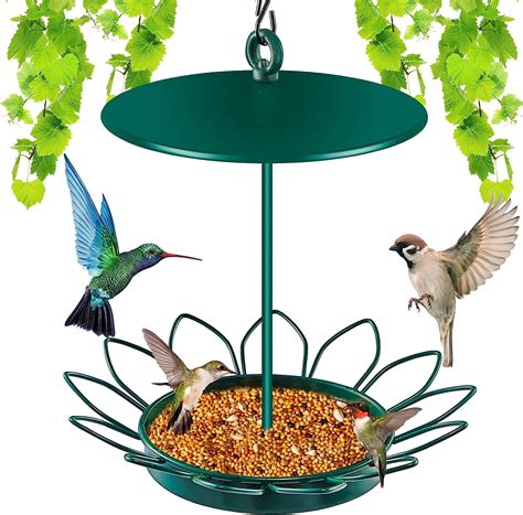 Amazon.com : Detachable Hanging Birdbaths, 2 in 1 Bird Feeder Tray ...