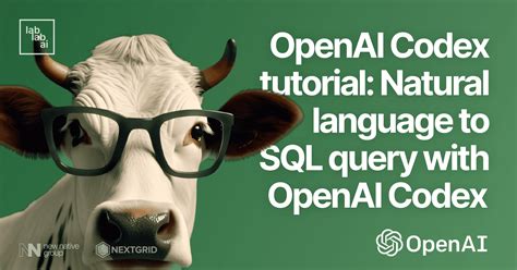 OpenAI Codex Tutorial 的图像结果