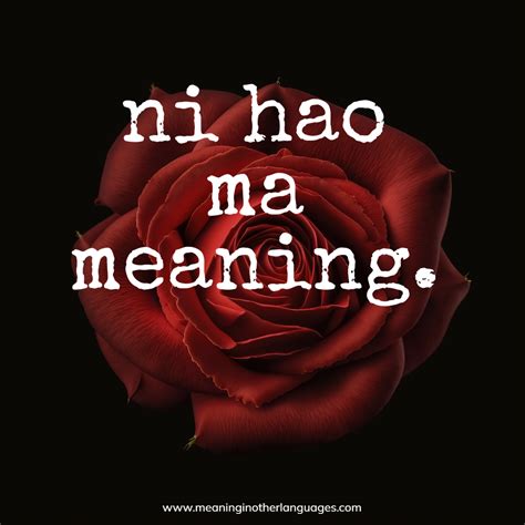 ni hao ma meaning