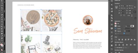Image result for InDesign Buttons
