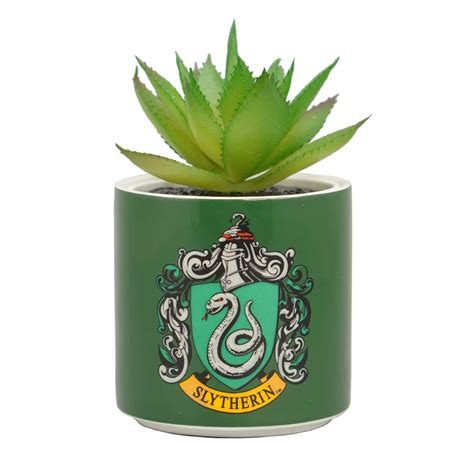 Harry Potter Plant