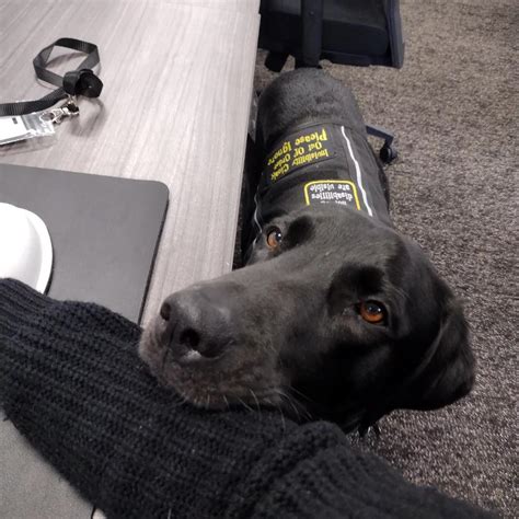 My dead mom met my service dog : r/TwoHotTakes