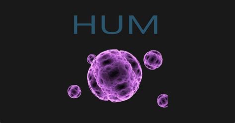 Image result for Hum Band Merchandise