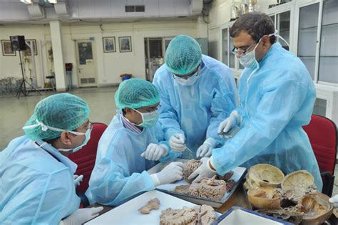Neurosurgery Education And Training School