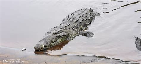 OLA BEACH TRAVEL (Puerto Escondido) - What to Know Before You Go