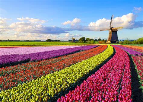 Best Time to Visit the Netherlands | Climate Guide | Audley Travel US
