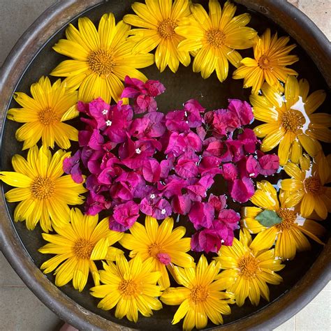 MARS JUNGLE ADVENTURE STUD FARM WITH PRIVATE JACUZZI (Narsinge ...