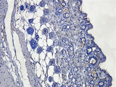 Image result for BioRuby Applications