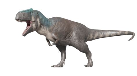 Image result for Mapusaurus VST Rex