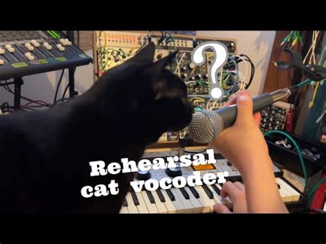 Image result for Cat Vocoder
