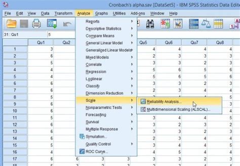 Reliability test in SPSS using Cronbach Alpha