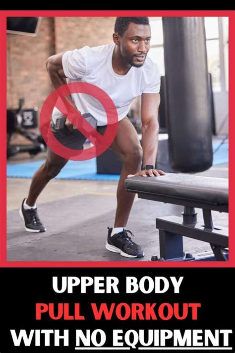 Pull Arm Exercises 的图像结果