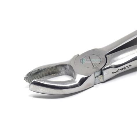 Upper Molars Left No. 18 Dental Extraction Forceps – Stainless Steel ...
