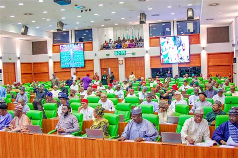 Reps to probe alleged illegal virement by NECO - The Nation Newspaper