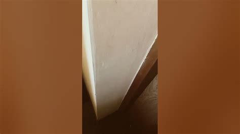 Minecraft TP Tutorial 的图像结果