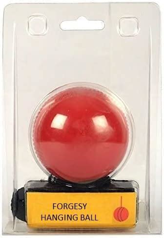 TRUBIOLOGY Red Cricket Practice Synthetic Hanging Ball for Knocking ...