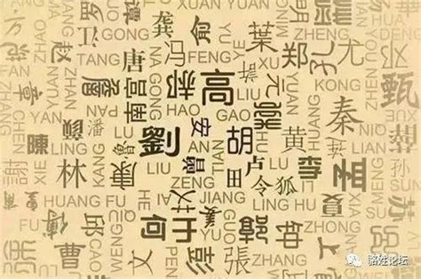 胡姓氏的漢字演變和家族來源過程荀卿庠整理 - 每日頭條