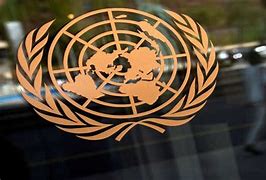 Image result for UN criticizes French move