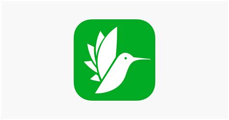 Good Flash Card Making Apps 的图像结果