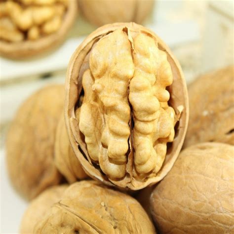 Walnut (Akhrot) with Shell