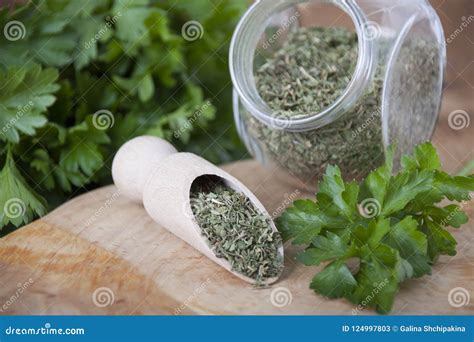 Spicy Herb Parsley in Natural and Dried Form Stock Image - Image of ...