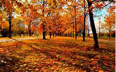 High Resolution Fall Desktop Backgrounds Hd by Autumn Wallpapers Images Photos Pictures Backgrounds High Resolution Fall Desktop Backgrounds Hd