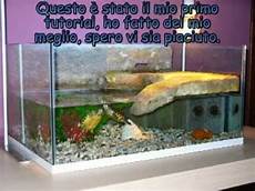 vasche x tartarughe d acqua tutorial come costruire una tartarughiera vasche x tartarughe d acqua tutorial come costruire una tartarughiera