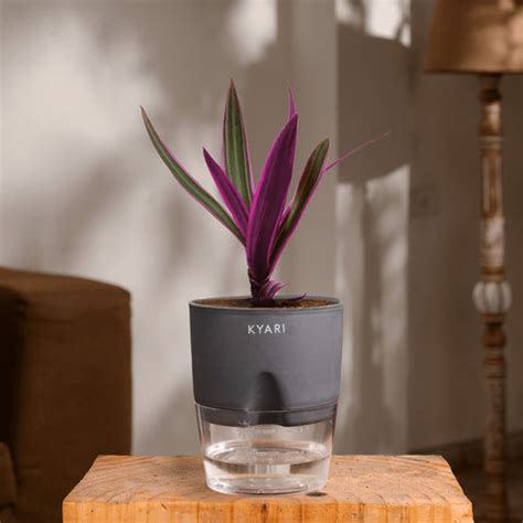 Build your own bundle – Kyari.co