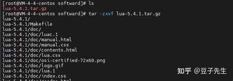 Lua Install 的图像结果