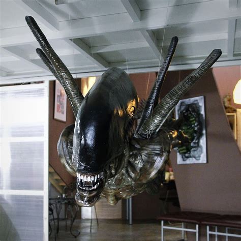 Image result for Alien Resurrection Creature