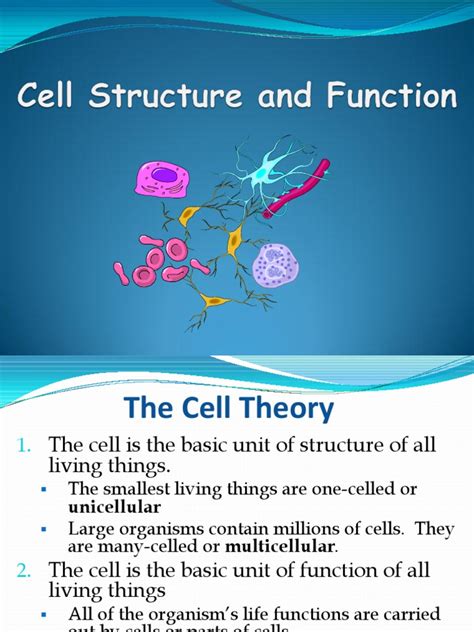 Cell Structure and Function 的图像结果