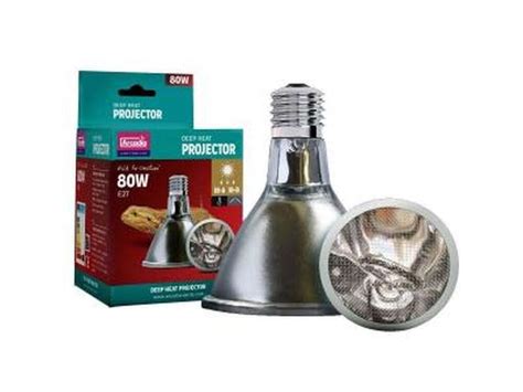 Ball Python Collection 的图像结果