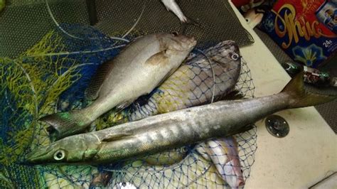 Queen Island Fishing Charters (Phu Quoc Island) - 2020 What to Know ...