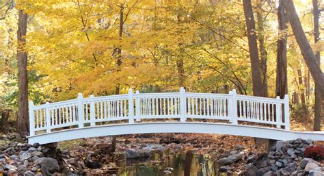 Landscape Bridge 的图像结果