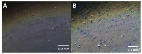 Electrochemical Mercury Biosensor Based on Electrocatalytic Properties ...