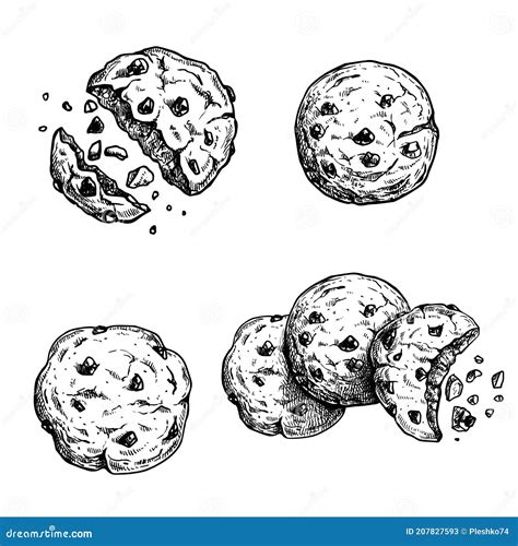 Chocolate Chip Drawing