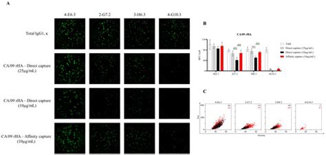 Affinity Tag Coating Enables Reliable Detection of Antigen-Specific B ...