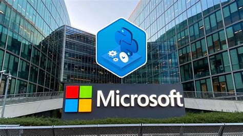 Microsoft Python 的图像结果