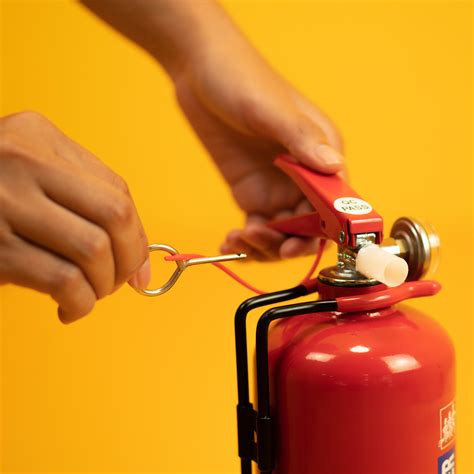 Fire Fighter 2KG Carbon Dioxide (CO2) Fire Extinguisher (BOMBA LICENSE ...